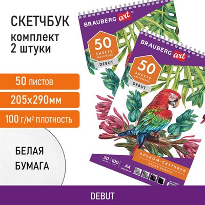 Скетчбук-блокнот ДЭК для рисования белая бумага 100 г/м2, 205х290 мм, 50 л., КОМПЛЕКТ 2 шт., BRAUBERG, 880274 880274 - фото 49133237