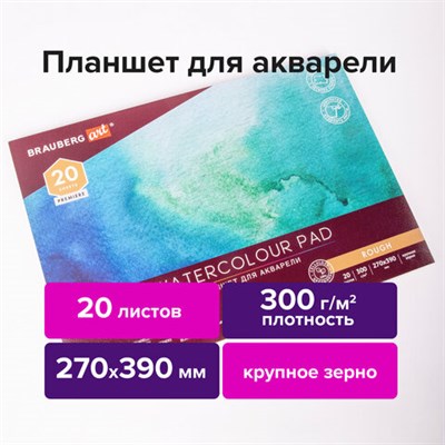 Папка для акварели/планшет, 300 г/м2, 270х390 мм, склейка, крупное зерно, 20 л., BRAUBERG ART PREMIERE, 113250 113250 - фото 49135331