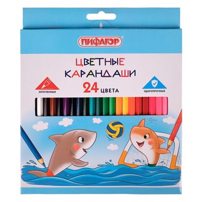 Карандаши цветные ПИФАГОР "Веселые акулята", 24 цвета, классические, заточенные, 181818 - фото 49269793