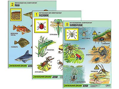 Комплект таблиц для нач. шк. "Окружающий мир. Животный мир" (8 табл., А1, лам.) 11644ED - фото 49455696