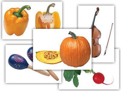 Набор предметных картинок "Овощи. Музыкальные инструменты" (48 шт., А4, с магнитами) - фото 49455709