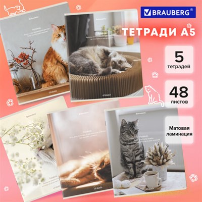 Тетради ДЭК А5 48 л. КОМПЛЕКТ 5 шт. BRAUBERG, клетка, матовая ламинация, "Cats", 404673 404673 - фото 49910128