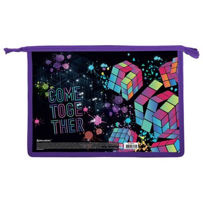 Папка для труда на молнии BRAUBERG А4, 2 отделения, органайзер, "Come together", 270977 270977