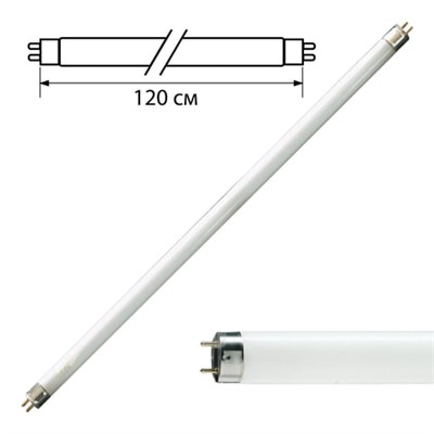 Лампа люминесцентная PHILIPS TL-D 36W/54-765, 36 Вт, цоколь G13, в виде трубки 120 см, холодный дневной свет, 815849 450768