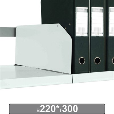 Разделитель к металлическому стеллажу, 300х220 мм, КОМПЛЕКТ 20 шт., К24199510303 291180