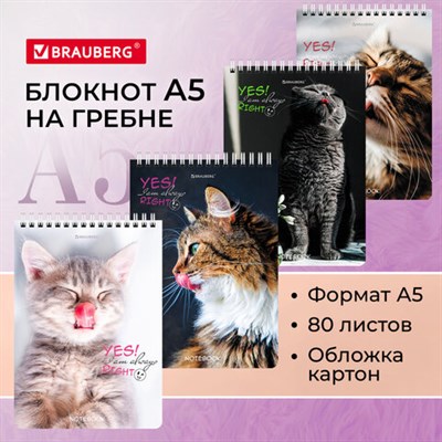 Блокнот А5 (146х206 мм), 80 л., гребень, картон, клетка, BRAUBERG, "Довольные коты", 114374 114374