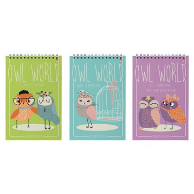 Блокнот А5, 40 л., гребень, ламинированный картон, клетка, Альт, "Совы", (3 вида), 3-40-024 111286