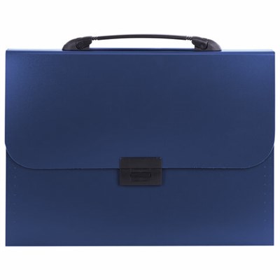 Папка-портфель пластиковая BRAUBERG "Energy" А4 (330х256х32 мм), 7 отделений, синяя, 222572 222572