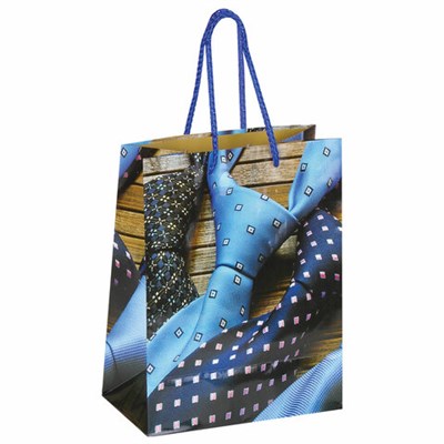 Пакет подарочный (1 штука) 18x10x23 см, ЗОЛОТАЯ СКАЗКА "Галстуки", ламинированный, 606586 606586