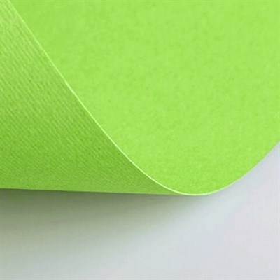 Бумага (картон) для творчества (1 лист) Fabriano Elle Erre А2+ 500х700 мм, 220 г/м2, светло-зеленый, 42450710 - фото 50611361