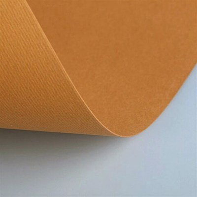 Бумага (картон) для творчества (1 лист) Fabriano Elle Erre А2+ 500х700 мм, 220 г/м2, светло-коричневый, 42450703 - фото 50611363