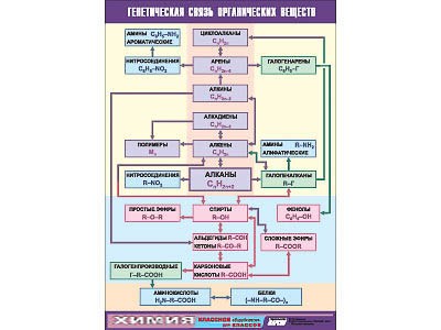 Таблица демонстрационная "Генетическая связь органических веществ" (винил 100x140) - фото 51508009