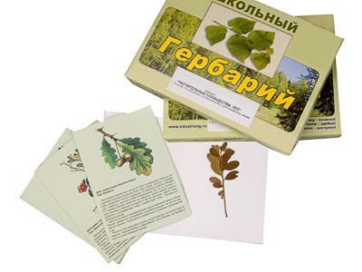 Гербарий "Растительные сообщества. Лес" (9 видов, 10 планшетов, с иллюстрациями и фотографиями) - фото 51508070