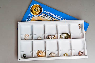 Коллекция "Раковины моллюсков" 6200ED - фото 51508084