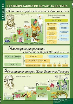 Таблицы демонстрационные "Биология 10-11 классы. Эволюционное учение" 9824ED - фото 51508155