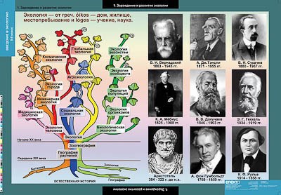 Таблицы демонстрационные "Введение в экологию" 9825ED - фото 51508159