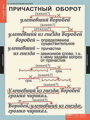 Таблицы демонстрационные "Русский язык 7 кл." - фото 51508285