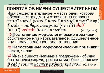 Таблицы демонстрационные "Русский язык. Имя существительное" - фото 51508291
