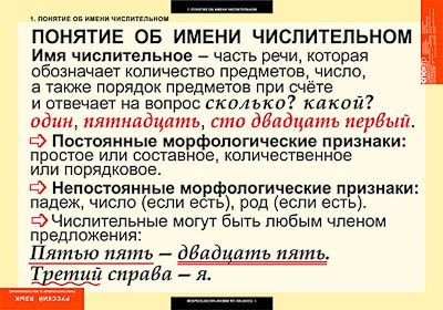 Таблицы демонстрационные "Русский язык. Числительное и местоимение" - фото 51508299