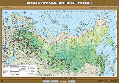 Учебн. карта "Лесная промышленность России" 100х140 8278ED - фото 51508578