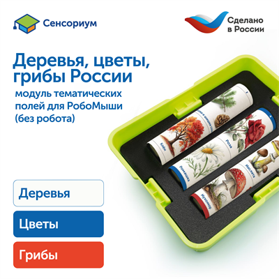 MS0102/1 Модуль "Деревья, цветы, грибы России" MS0102/1 - фото 54332740