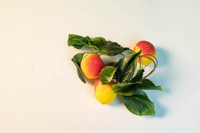 Ветка муляжей "Абрикос" 1807ED