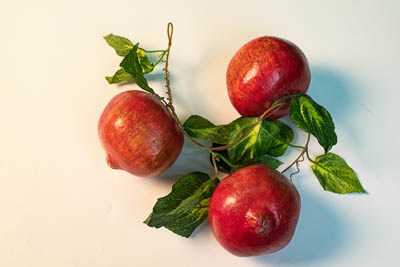 Ветка муляжей "Гранат" 14293ED