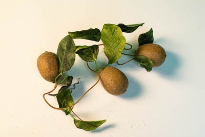 Ветка муляжей "Киви" 11598ED