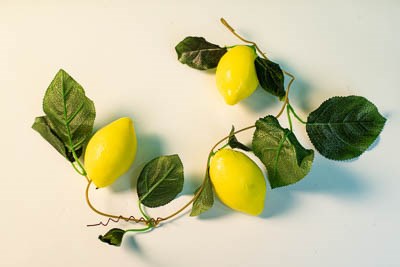 Ветка муляжей "Лимон" 1998ED