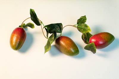 Ветка муляжей "Манго" 11600ED