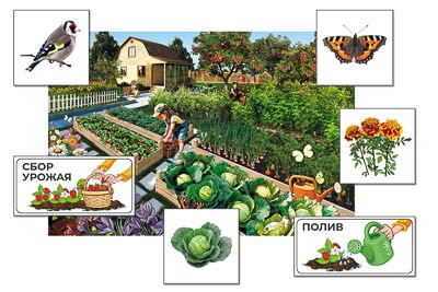 Магнитный плакат-аппликация "Приусадебный участок: биоразнообразие и взаимосвязи в сообществе" 17542ED