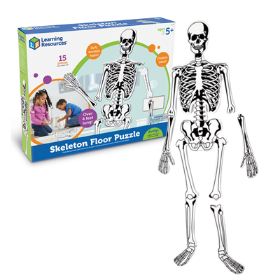 LER3332 Напольный пазл "Скелет" (122см., 15 элементов) LER3332