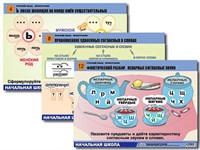 Комплект таблиц для нач. шк. "Русский язык. Орфография" (14 табл.. формат А1, лам.) 9593ED