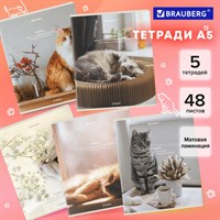 Тетради ДЭК А5 48 л. КОМПЛЕКТ 5 шт. BRAUBERG, клетка, матовая ламинация, "Cats", 404673