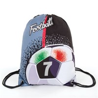 Мешок для обуви BRAUBERG PREMIUM, карман, подкладка, светоотражающие элементы, 43х33 см, Ball, 270287 270287