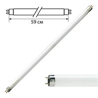 Лампа люминесцентная PHILIPS TL-D 18W/54-765, 18 Вт, цоколь G13, в виде трубки 59 см, холодный дневной свет 450648