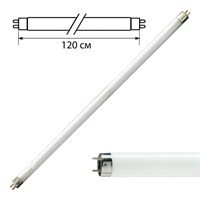 Лампа люминесцентная PHILIPS TL-D 36W/54-765, 36 Вт, цоколь G13, в виде трубки 120 см, холодный дневной свет, 815849 450768