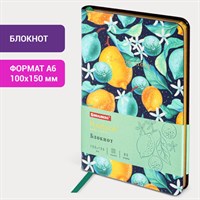 Блокнот МАЛЫЙ ФОРМАТ (100х150 мм) А6, BRAUBERG VISTA 