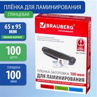 Пленки-заготовки для ламинирования МАЛОГО ФОРМАТА (65х95 мм), КОМПЛЕКТ 100 шт., 100 мкм, BRAUBERG, 530903 530903