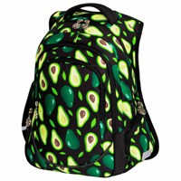 Рюкзак BRAUBERG SPECIAL, 2 отделения, 3 кармана, 