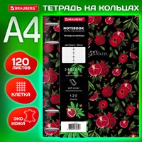 Тетрадь на кольцах БОЛЬШАЯ А4 (240х310 мм), 120 л., под кожу, BRAUBERG VISTA, 