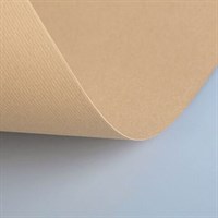 Бумага (картон) для творчества (1 лист) Fabriano Elle Erre А2+ 500х700 мм, 220 г/м2, кремовый, 42450701 115545