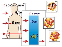 Модель-аппликация "Явление радиоактивности" (ламинированная) 7336ED