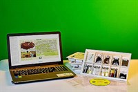 Коллекция натурально-интерактивная "Торф и продукты его переработки"