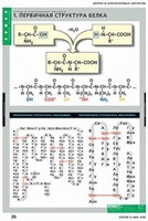 Таблицы демонстрационные "Белки и нуклеиновые кислоты"