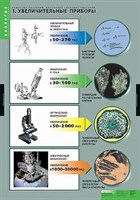 Таблицы демонстрационные "Вещества растений, Клеточное строение" 168ED