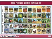 Таблица демонстрационная "Почвы, растения и животные природных зон" (винил 100x140) 9459ED