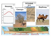 Модель-аппликация "Природные зоны" (ламинированная) 7606ED