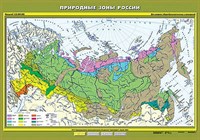 Учебн. карта "Природные зоны России" 100х140 8212ED