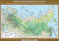 Учебн. карта "Лесная промышленность России" 100х140 8278ED